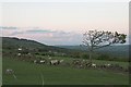 Grazing Land East of Egton