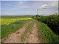 Footpath to Laxton