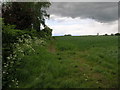 Footpath to Snibston