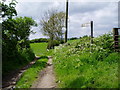 One mile to Llandegla