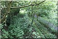 Chesterfield Canal and Trans Pennine Trail