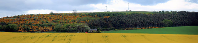 Panorama of Seppie Wood, Inverbervie