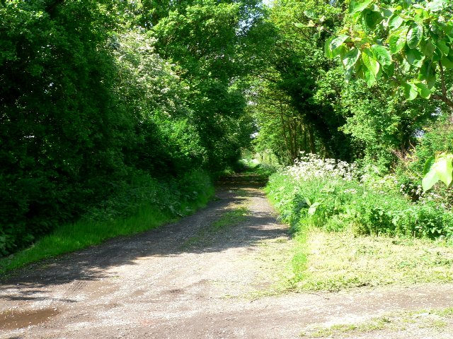 Lane From Welburn House © Roger Gilbertson Geograph Britain And Ireland