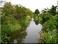 Langney Sewer, Langney