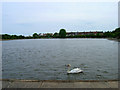 Crumbles Pond, Princes Park