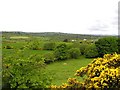 Gortreagh Townland