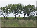 Trig pillar on Pembrey Mountain