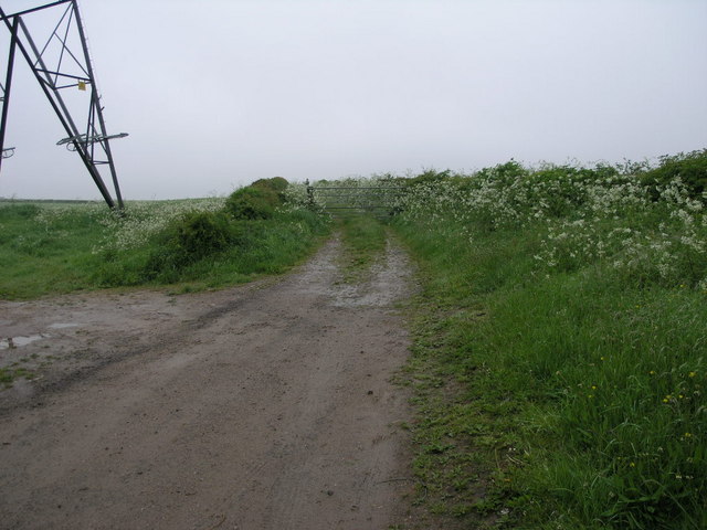 Pylon and Path
