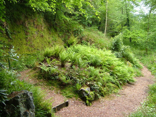 Fernery, Saltram House © Derek Harper cc-by-sa/2.0 :: Geograph Britain ...