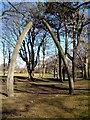 Whale bone arch, Aberdeen