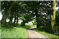 Arlington: bridleway at Lane End