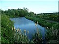 The Nottingham Canal