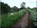 Nottingham Canal towpath