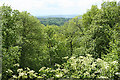 Uffculme: view from Hackpen Hill