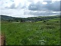 Fields near Well Farm