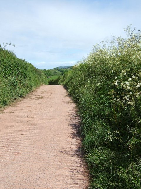 Lane to Well Farm