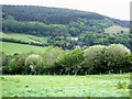 Looking towards Knowle Hill