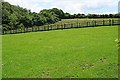 Pasture Land near Carwynnen