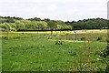 Fenced Pasture and Woodland