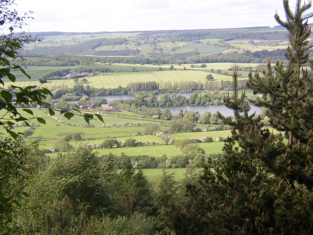 View of the Wharfe Valley from Chevin Country Park, Otley