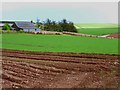 Rows of haybales at Fernieflatt