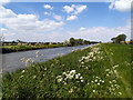 New River Ancholme