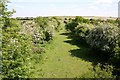 Disused railway bed