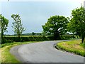 Road South from Seaton Ross