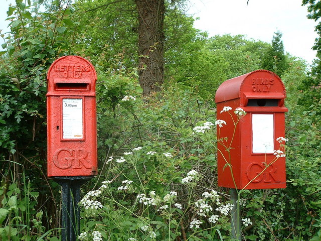 Postbox for letters and bird box