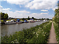 Island Carr Marina