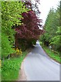 Road alongside Woodlands Park