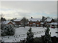 Houses next to Durham County Cricket Ground