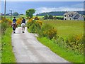 Horses on the road to Nether Ashentilly