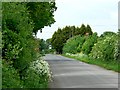 Road past Dial Hall Farm