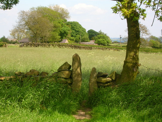 Stile in the shade