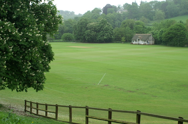 Old field