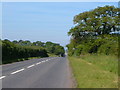 The Roman Road near Cobden