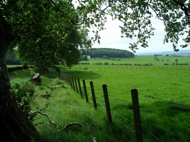 Fields near Burnswark Hill