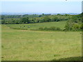 Countryside near Whimple