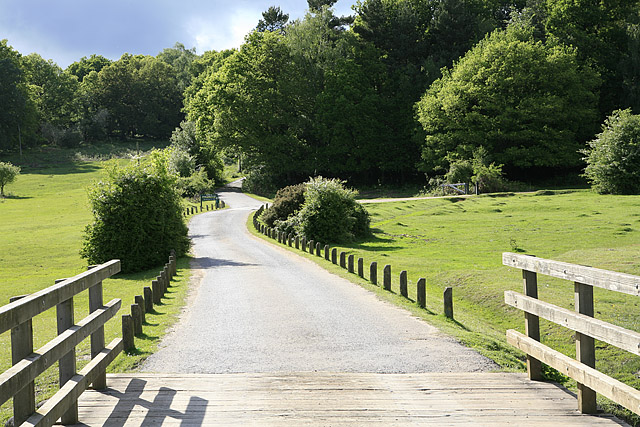 Road from Linford Bottom to Rockford... © Peter Facey :: Geograph