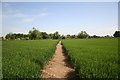 Path to Spridlington