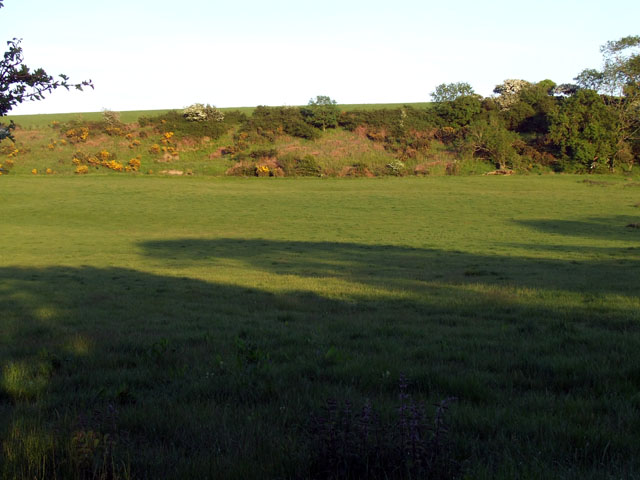 Field opposite Dyffryn
