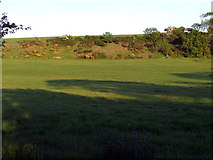 SH5075 : Field opposite Dyffryn by Nigel Williams