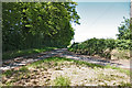 Road leading to Old Down Farm