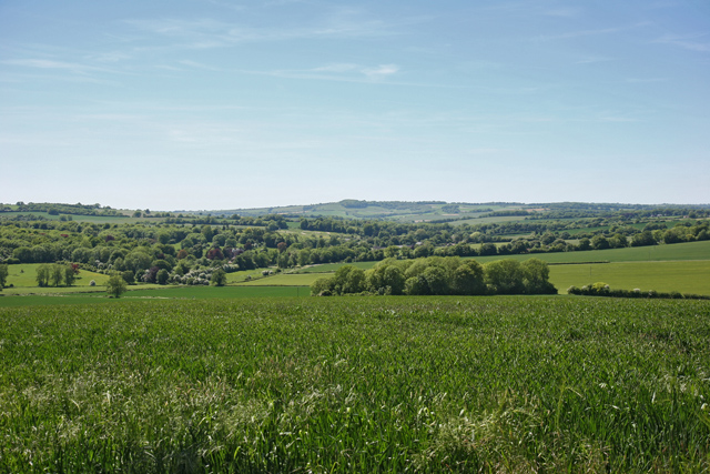 Farm land north of Riplington