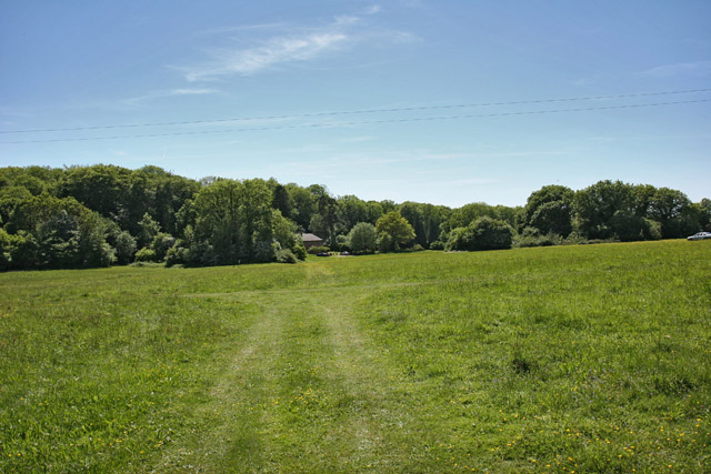 Field near Bramdean Common
