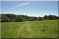 Field near Bramdean Common