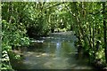 River Lynher at Pillatonmill