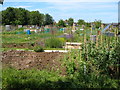 Oatlands Avenue Allotments , Hengrove