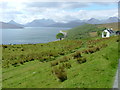 Grazing Land and Inner Sound and beyond to the from North Fearns Road